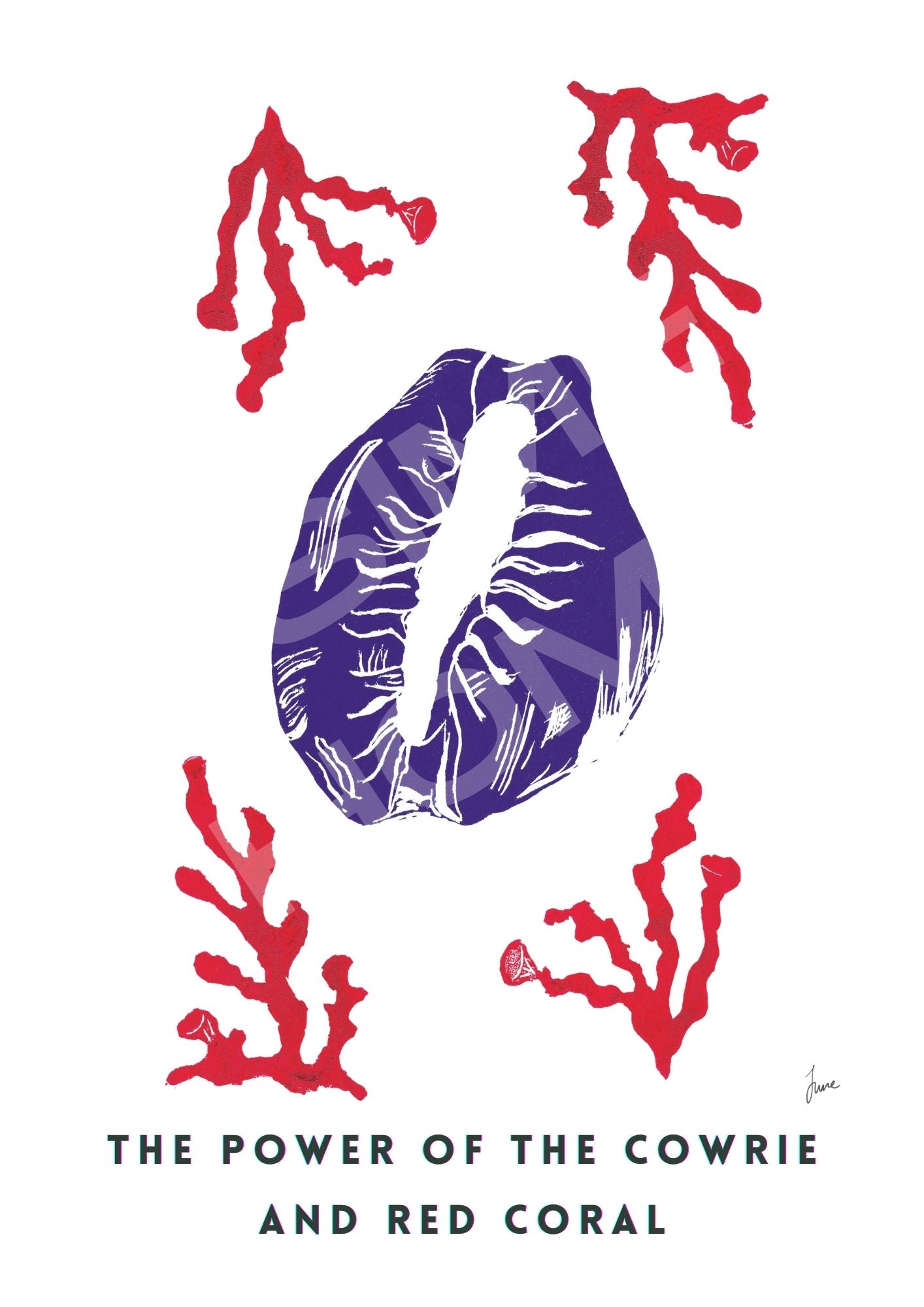 The Power Of The Cowrie and Red Coral