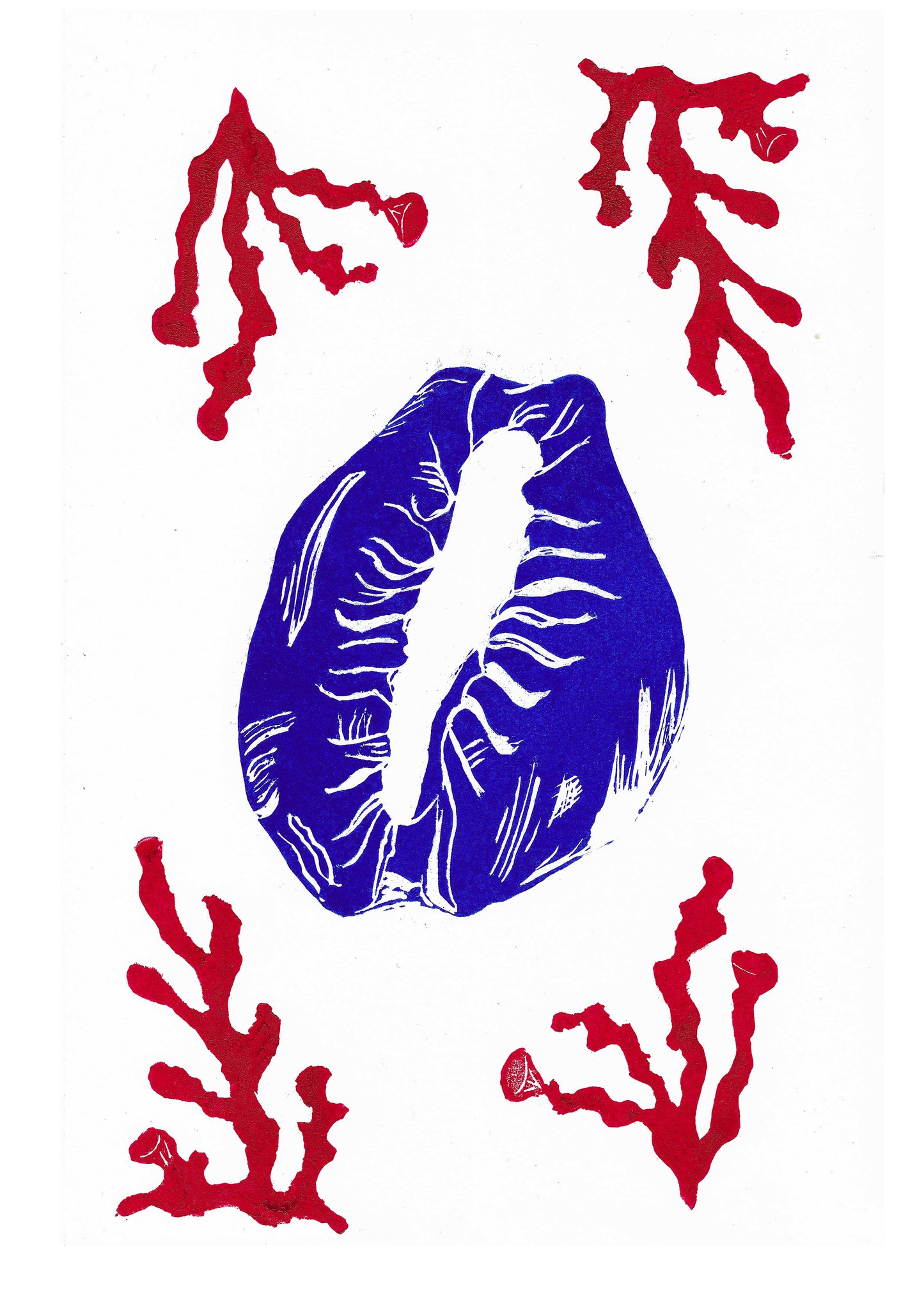 The Power Of The Cowrie and Red Coral