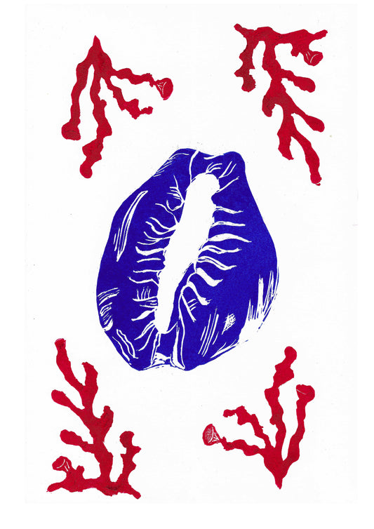 The Power Of The Cowrie and Red Coral